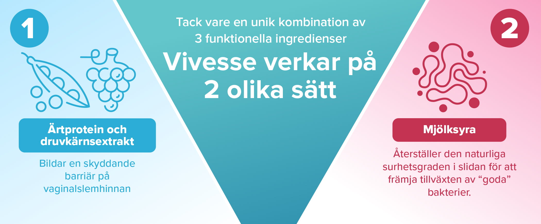 Tack vare en unik kombination av 3 funktionella ingredienser, Vivesse verkar på 2 olika sätt.